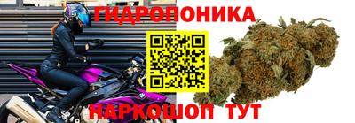 ECSTASY Кинель